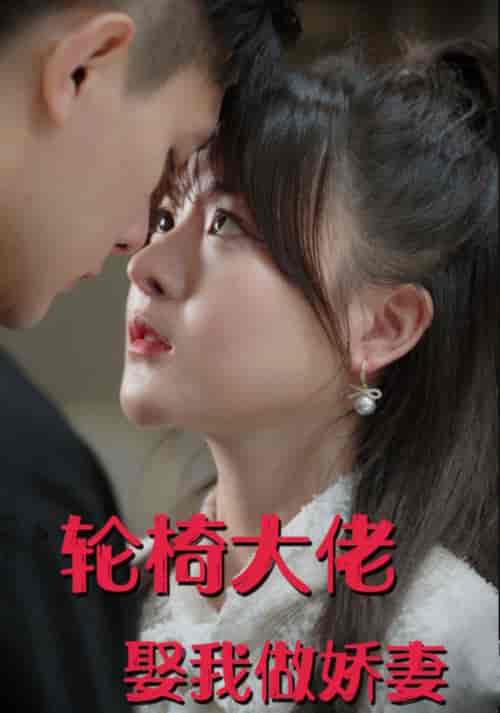 轮椅大佬娶我做娇妻（100集全）朱信宗＆杨晨 - 傲图好剧