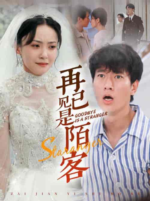 再见已是陌客＆归来的星光（55集全）张子安 - 傲图好剧
