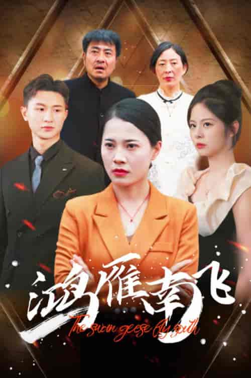 鸿雁南飞（64集） - 傲图好剧