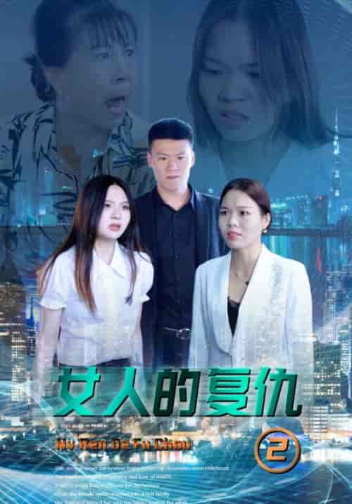 女人的复仇2（40集全）项羽＆金琳琳 - 傲图好剧