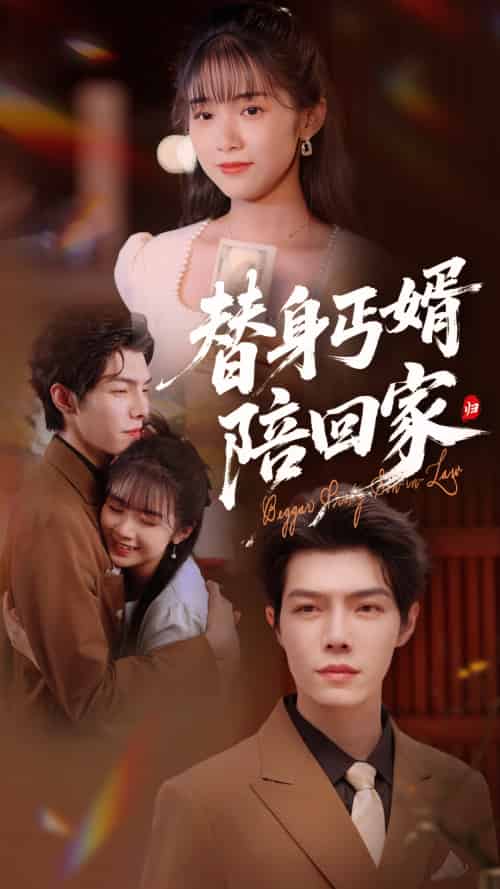 替身丐婿陪回家 替身丐婿陪回家