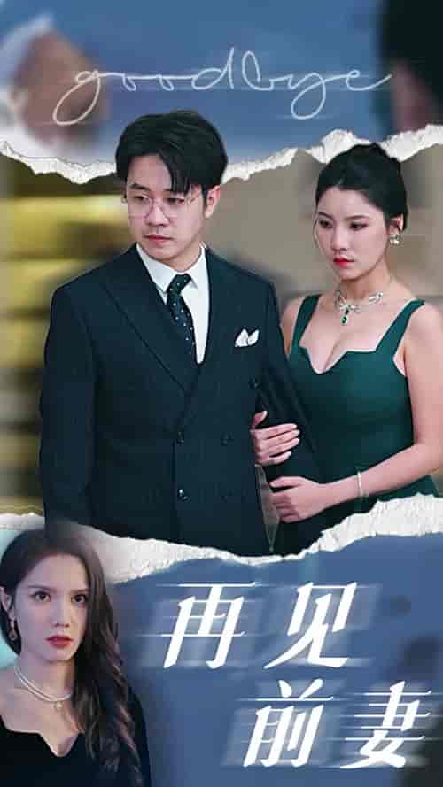 再见前妻（40集全） - 傲图好剧