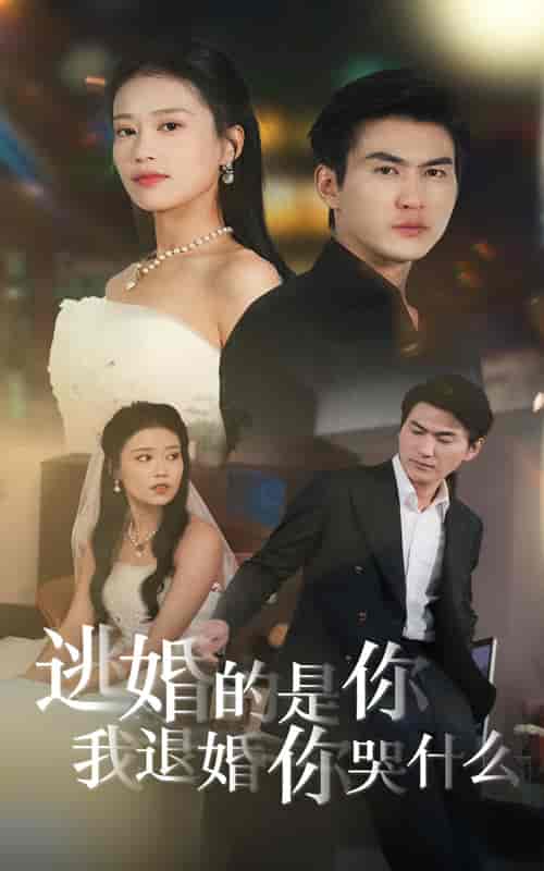 逃婚的是你我退婚你哭什么（71集全） - 傲图好剧