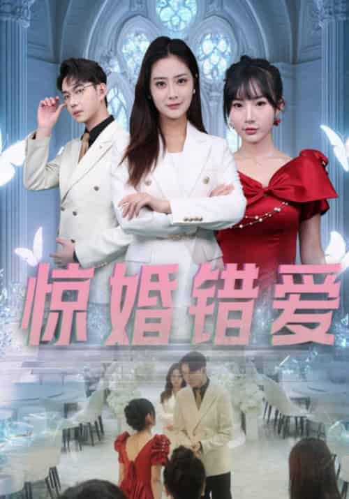 惊婚错爱（30集全）浅柔 - 傲图好剧