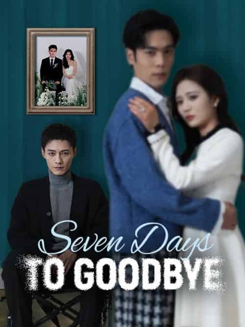 Seven Days to Goodbye（45集全）Jake＆Grant＆＆Rena＆Jonas - 傲图好剧