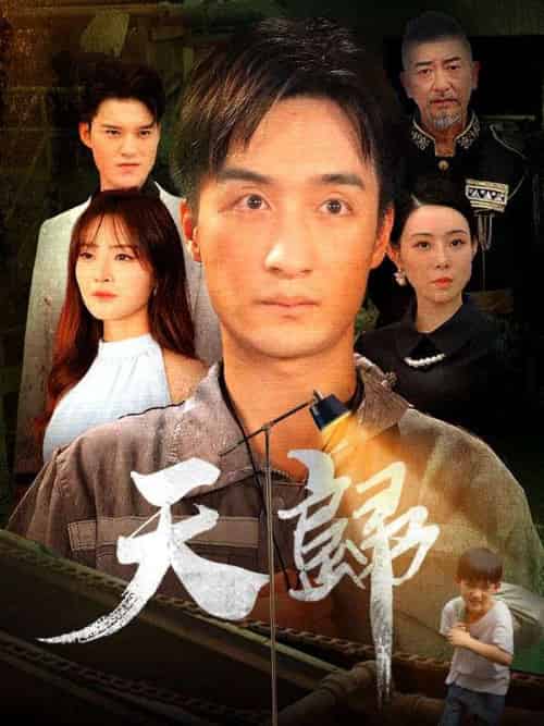 天歸（96集全）林天＆孟盛瑛 - 傲图好剧