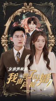 女扮男装后我掰弯了闪婚总裁（80集全）钟熙 - 傲图好剧