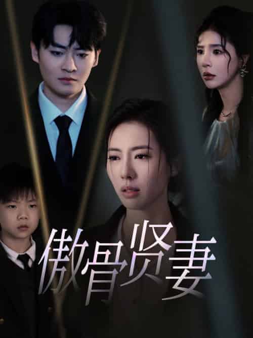 傲骨贤妻（52集全） - 傲图好剧