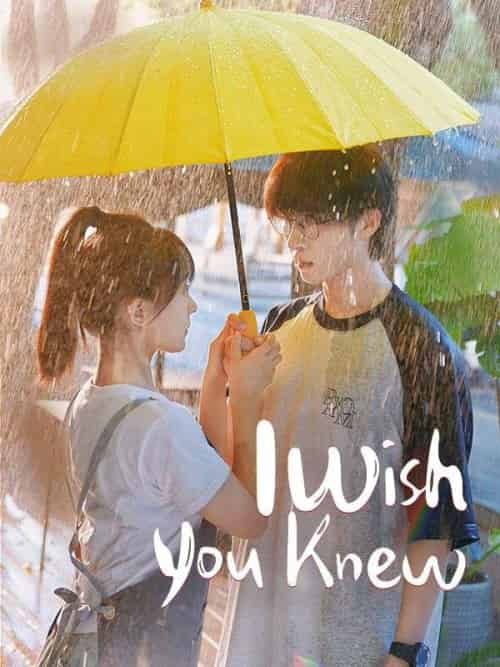 I Wish You Knew I Wish You Knew