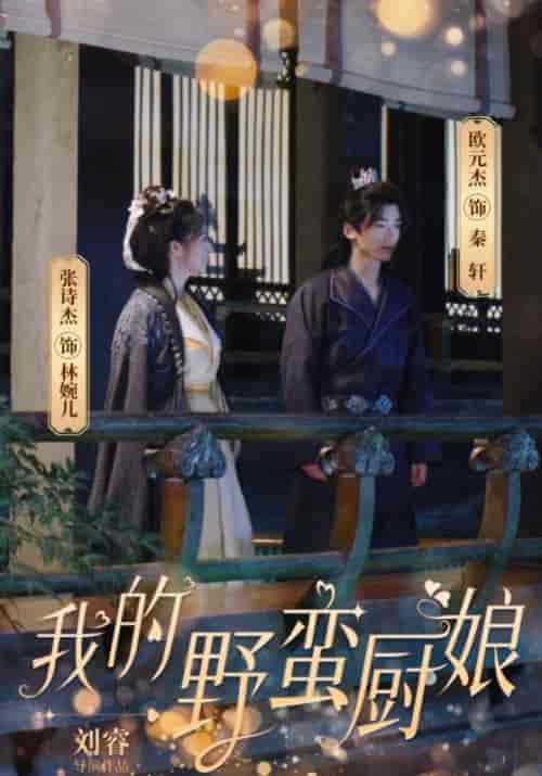 我的野蛮厨娘（64集全） - 傲图好剧