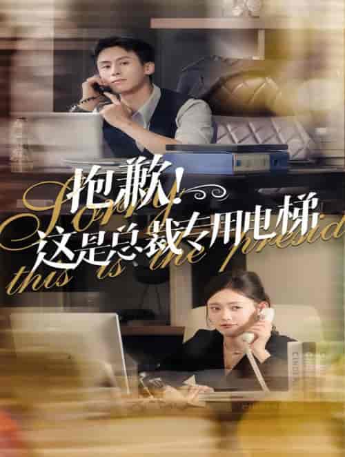 抱歉这是总裁专用电梯（60集全）王寒阳＆四一 - 傲图好剧