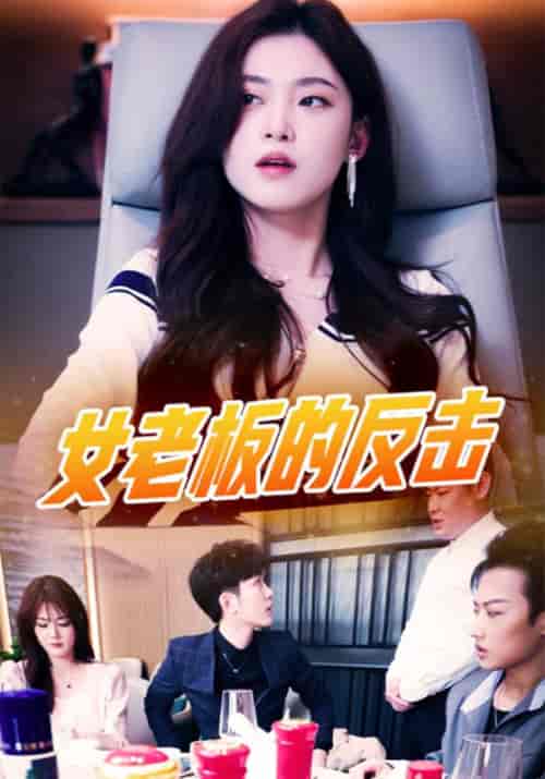 女老板的反击（100集全）黑龙＆张清 - 傲图好剧