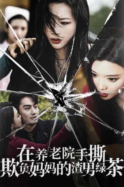 在养老院手撕欺负妈妈的渣男绿茶（26集全） - 傲图好剧