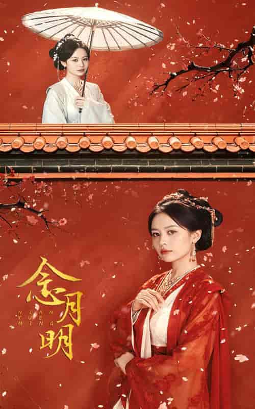 念月明（75集） - 傲图好剧