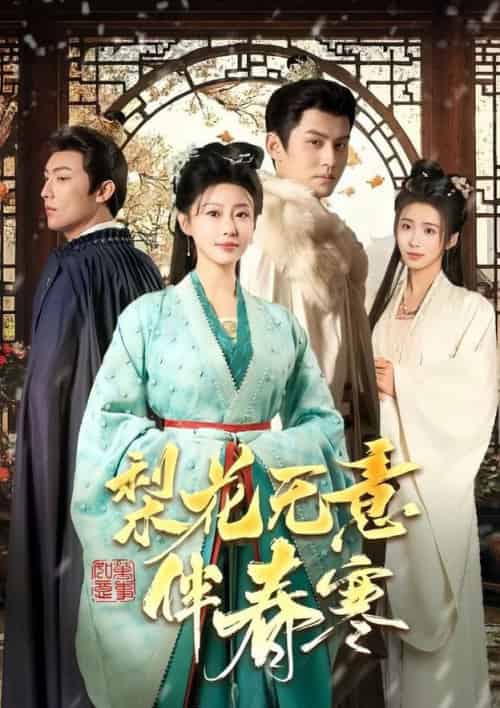 梨花无意伴春寒（63集全）宗沐一＆于小婉儿 - 傲图好剧