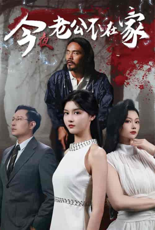 今夜老公不在家（44集全） - 傲图好剧