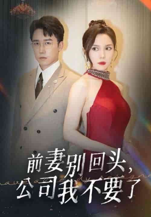 前妻别回头，公司我不要了（50集全）秦明＆苏诗诗 - 傲图好剧