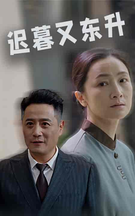 迟暮又东升（35集全） - 傲图好剧