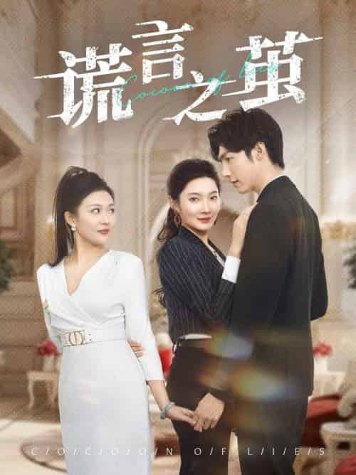 谎言之茧（29集全）沈玥妡 - 傲图好剧