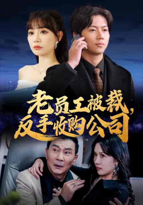 老员工被裁反手收购公司（34集全） - 傲图好剧