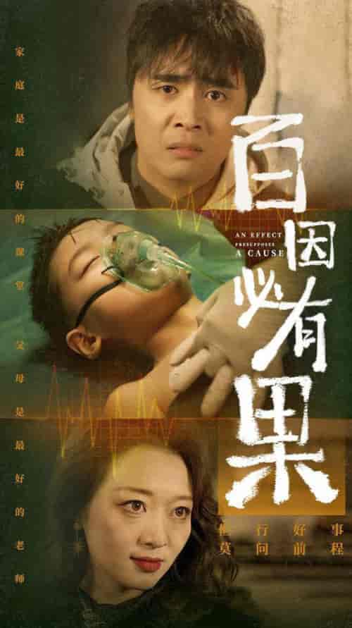 百因必有果（50集全） - 傲图好剧