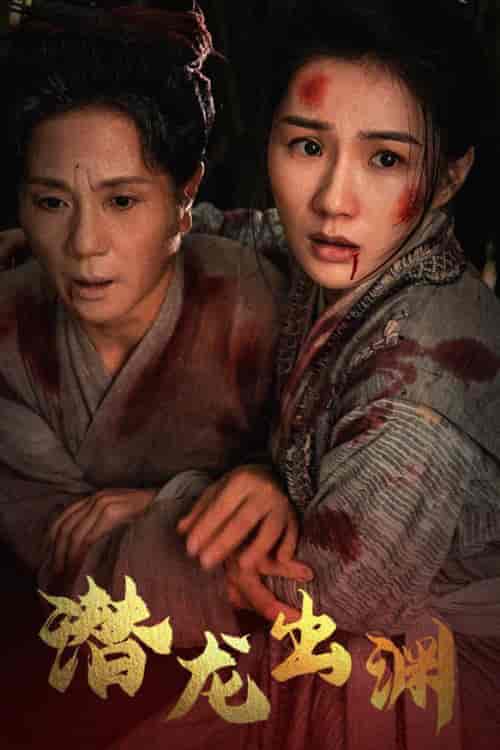 新版：潜龙出渊（43集全） - 傲图好剧