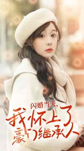 闪婚当天，我怀上了豪门继承人（92集） - 傲图好剧