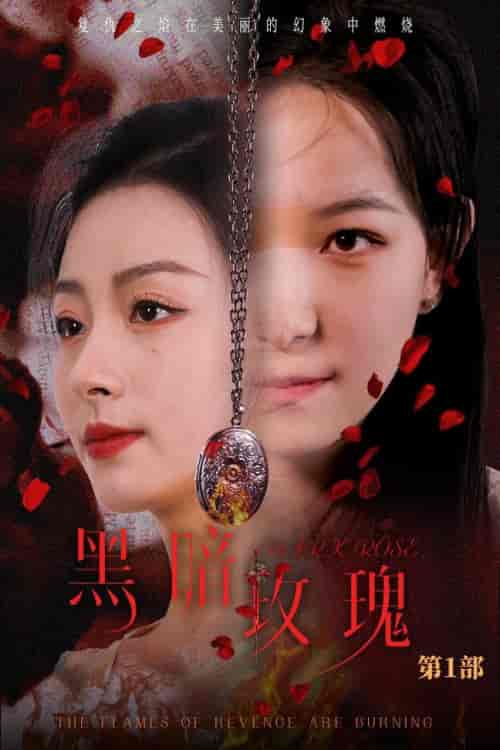 黑暗玫瑰（84集全）王艺阳 - 傲图好剧