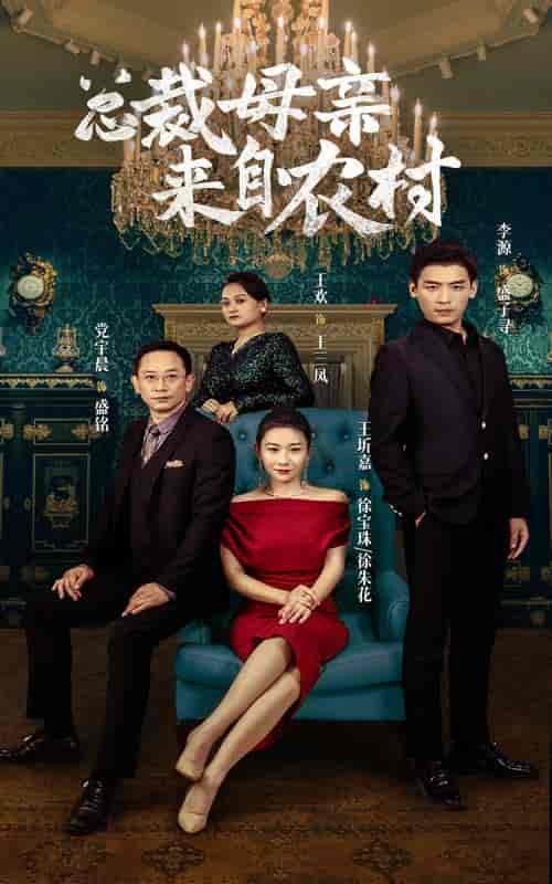 总裁母亲来自农村（58集全） - 傲图好剧
