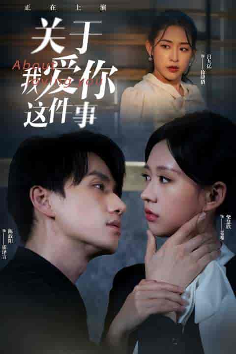 关于我爱你这件事（83集）陈政阳＆柴慧欣 - 傲图好剧