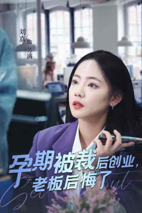 孕期被裁后创业老板后悔了（45集全） - 傲图好剧