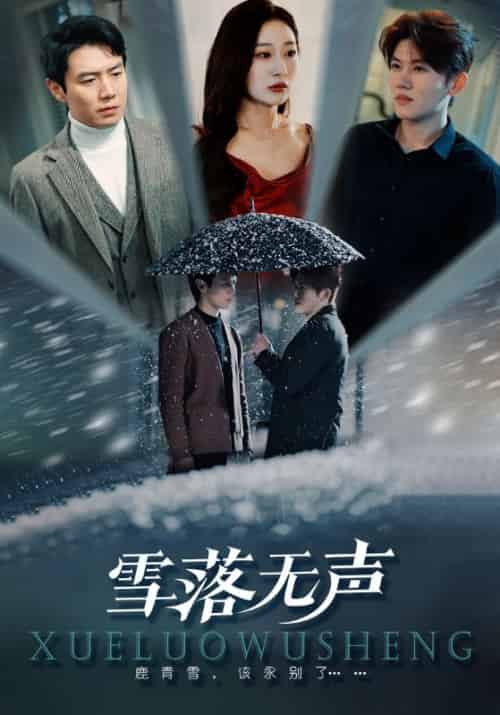 雪落无声（51集全）段禁城＆鹿青雪 - 傲图好剧