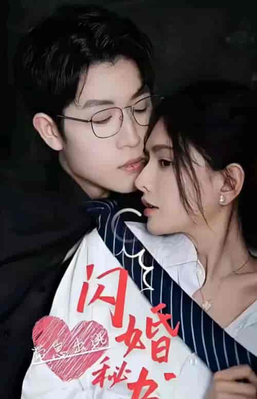 闪婚秘书带崽出逃（100集） - 傲图好剧
