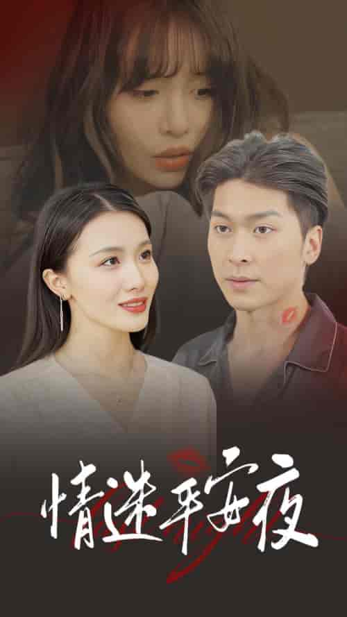 情迷平安夜（35集全） - 傲图好剧