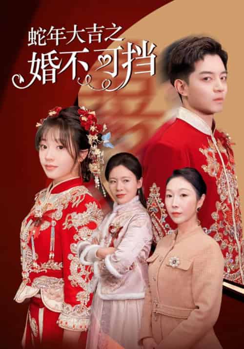 蛇年大吉之婚不可挡（50集） - 傲图好剧