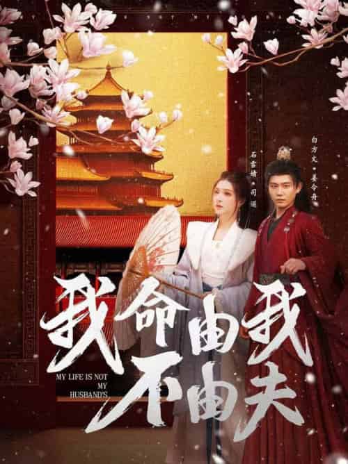 我命由我不由夫（75集全）白方文＆石雪婧 - 傲图好剧