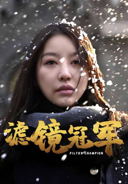 滤镜冠军（32集全） - 傲图好剧