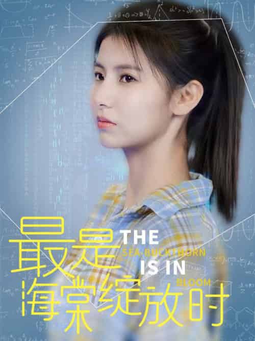 最是海棠绽放时（33集全）邓恒健＆王槿 - 傲图好剧