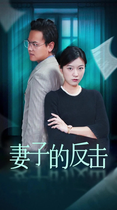 妻子的反击＆消失的爱人（27集全） - 傲图好剧