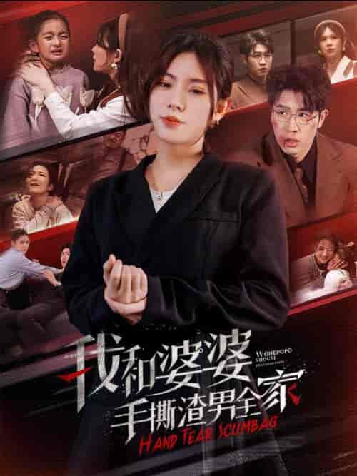 我和婆婆手撕渣男全家＆手刃家庭暴力（60集全） - 傲图好剧