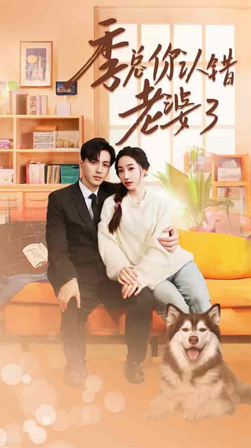 季总你认错老婆了＆远在眼前的你（90集） - 傲图好剧