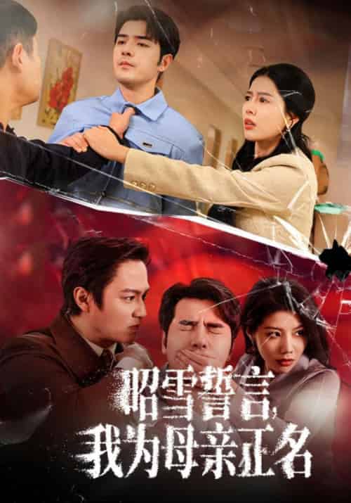 昭雪誓言，我为母亲正名（60集全）李浩＆林娜 - 傲图好剧