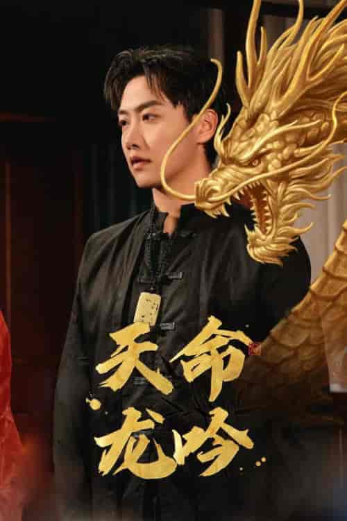 天命龙吟（48集全） - 傲图好剧