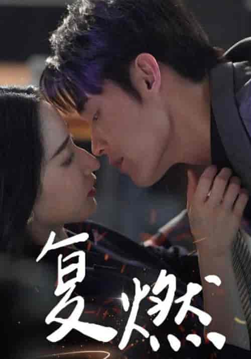 复燃（68集全）朱哲人 - 傲图好剧