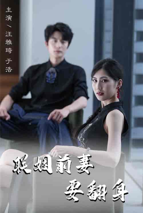 联姻前妻要翻身 联姻前妻要翻身