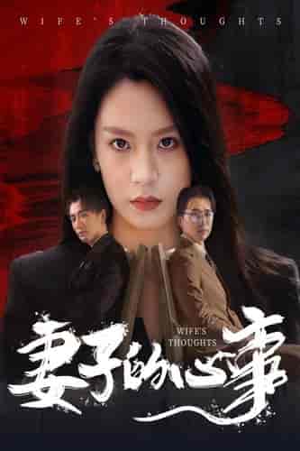 妻子的心事（60集全） - 傲图好剧