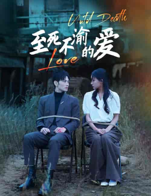 至死不渝的爱（80集全） - 傲图好剧