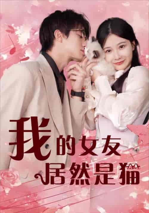 我的女友居然是猫 我的女友居然是猫
