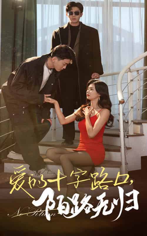 爱的十字路口陌路无归（35集全）张北淅＆程美华 - 傲图好剧
