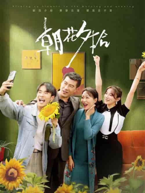 朝花夕拾（50集全）马铭婕 - 傲图好剧